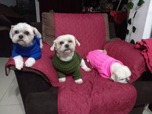 Chompita Clasica Mascota
