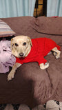 Chompita Clasica Mascota