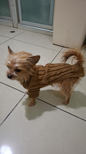 Chompita Clasica Mascota