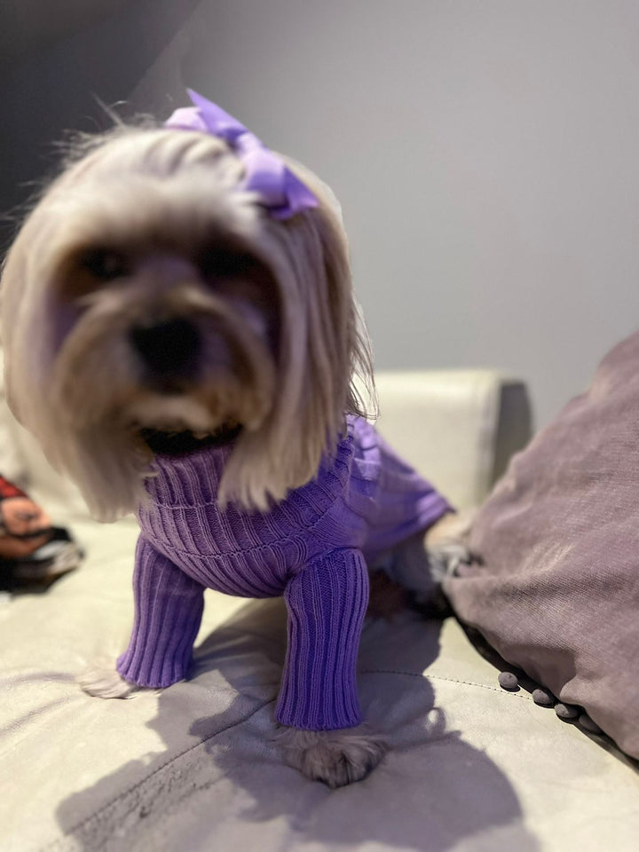 Chompita Clasica Mascota