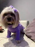 Chompita Clasica Mascota