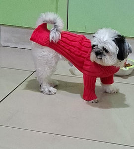 Chompita Clasica Mascota