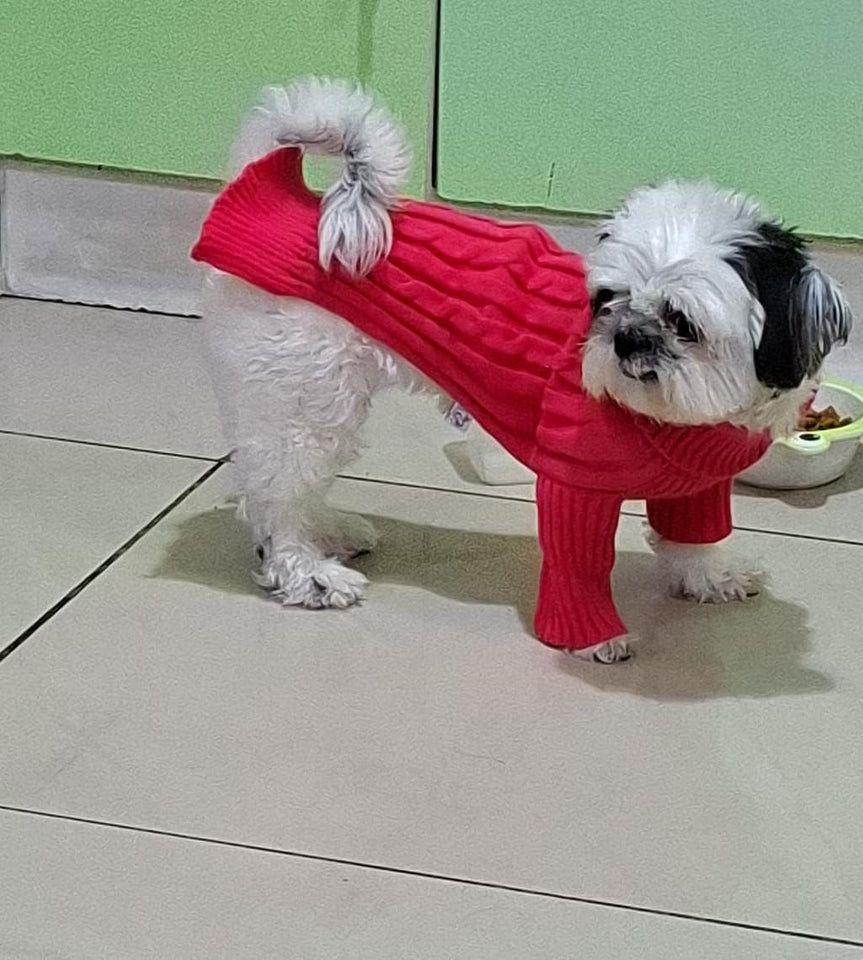 Chompita Clasica Mascota