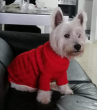 Chompita Clasica Mascota