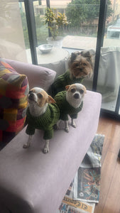 Chompita Clasica Mascota