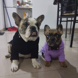 Chompita Clasica Mascota