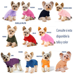 Chompita Clasica Mascota